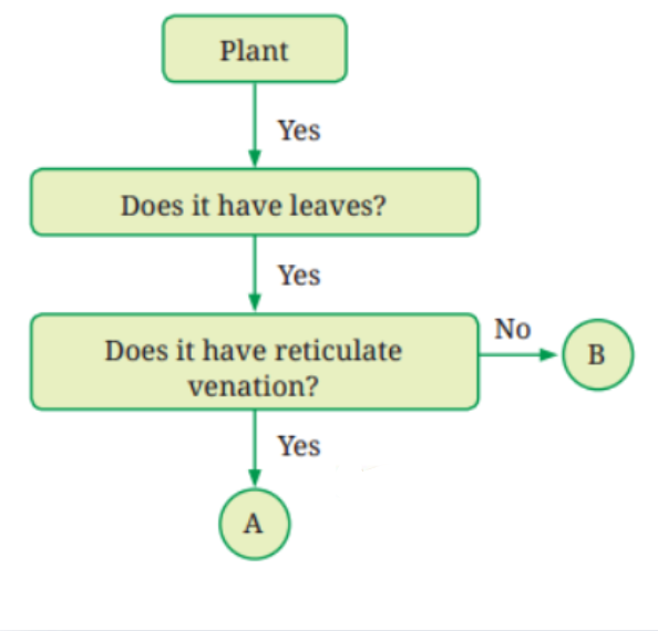 Analyse the flowchart. What can be examples of ‘A’ and ‘B’?